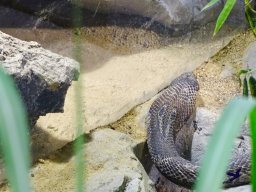 Haus des Meeres 4.02.2026